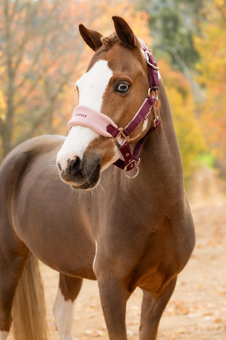 LeMieux Vogue Mini Headcollar & Leadrop Blackberry