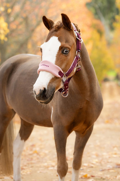 LeMieux Vogue Mini Headcollar & Leadrop Blackberry