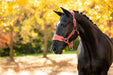 LeMieux Vogue Headcollar & LeadRope Russet