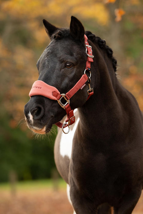 LeMieux Vogue Mini Headcollar & LeadRope Russet