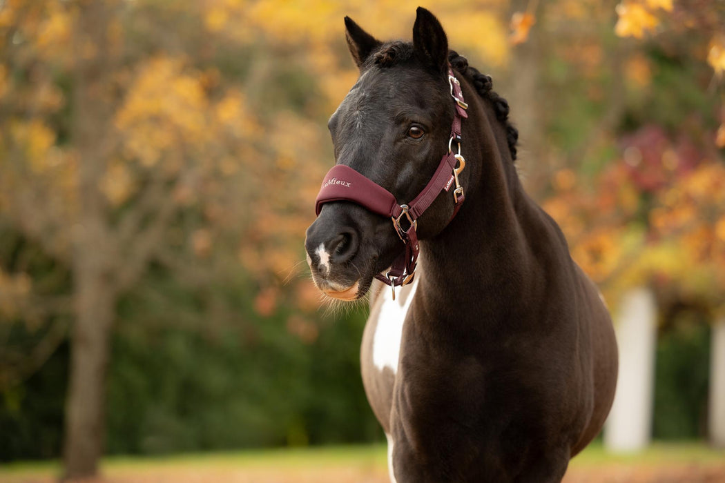 LeMieux Vogue Breakaway Mini Headcollar & Leadrope Bramble