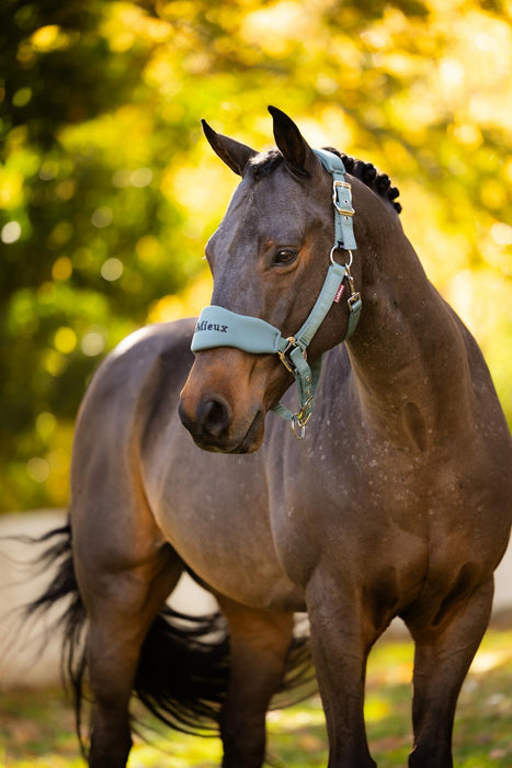 LeMieux Vogue Breakaway Headcollar & Leadrope Aloe