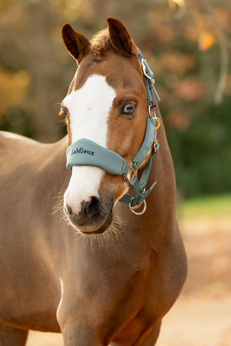 LeMieux Vogue Breakaway Mini Headcollar & Leadrope Aloe