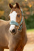LeMieux Vogue Breakaway Mini Headcollar & Leadrope Aloe
