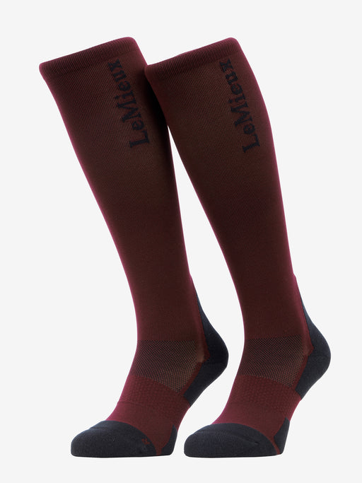 LeMieux Performance Socks Bramble