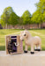 LeMieux Toy Pony Tack Locker Wooden