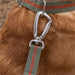 All-Terrain Lead Khaki & Chestnut