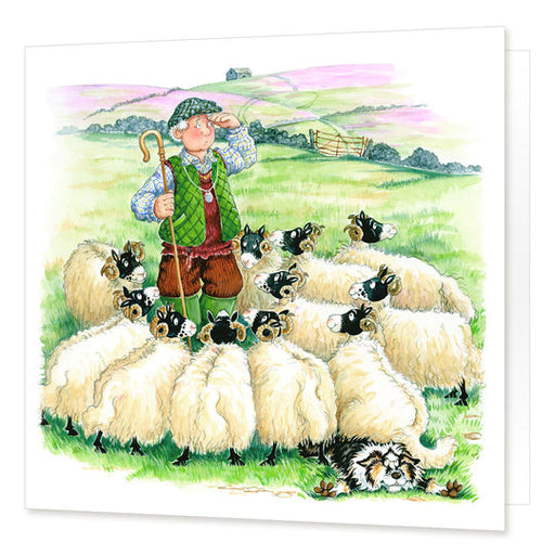 Cardtoons Sheep Dog Trial Card