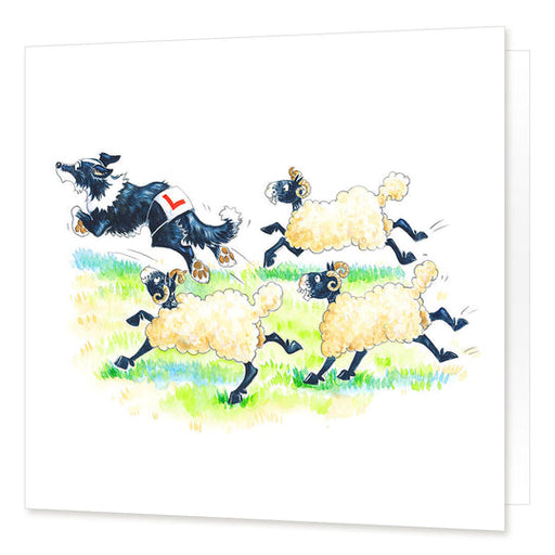 Cardtoons Learner Driver! Card