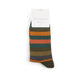 Mr Sparrow Striped Socks

