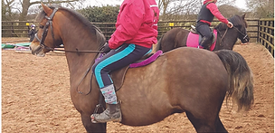 Shapley's M.T.G Plus 8oz