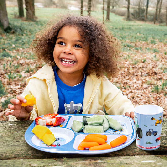 Tractor Ted Machines Divider Plate