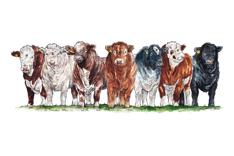 Kate Simpson Mr Beef Mug
