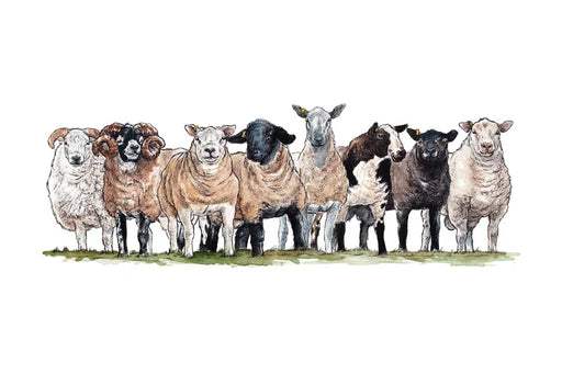 Kate Simpson Mr Sheep Mug
