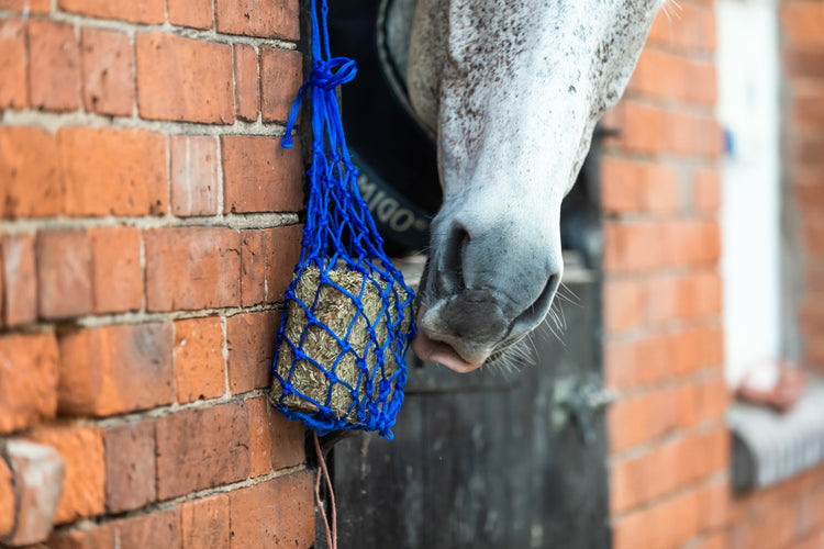 Equilibrium Calmmunch 1kg