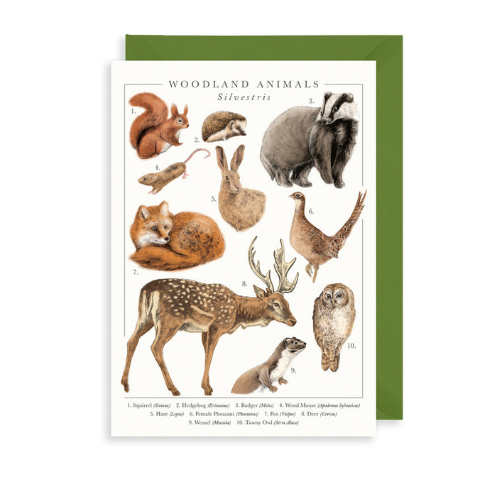 Art File Woodland Animals Card