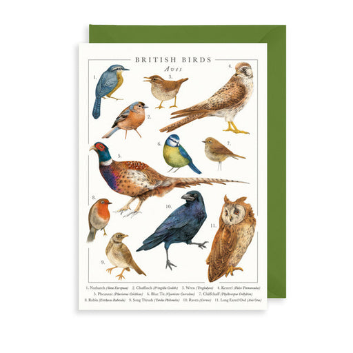 Art File British Birds Card