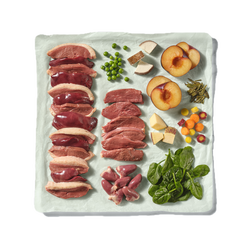 Natures Menu 80/20 Block Duck 500g
