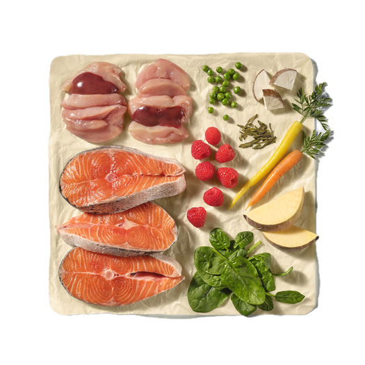 Natures Menu 80/20 Block Salmon & Chick 500g
