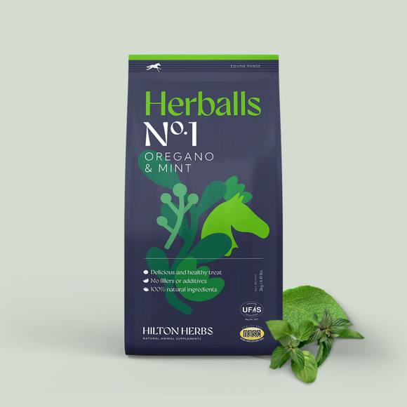 Hilton Herbs Herballs No1 Oregano & Mint 2kg