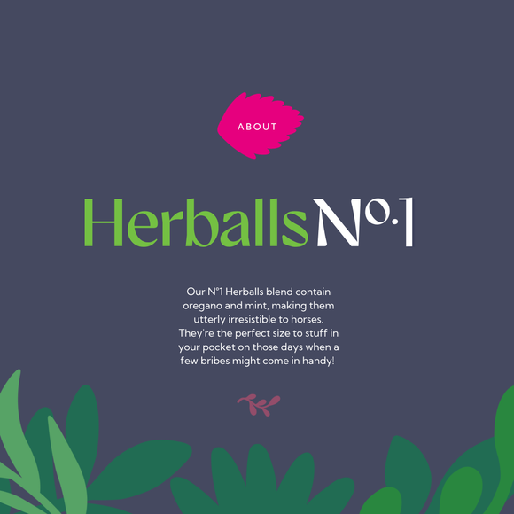Hilton Herbs Herballs No1 Oregano & Mint 2kg