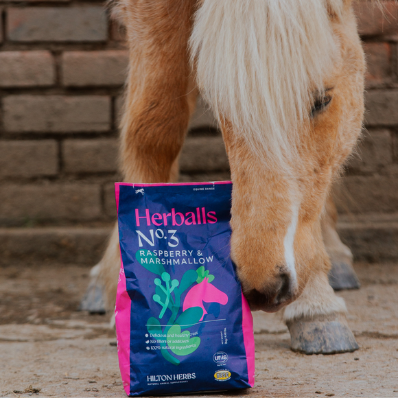 Hilton Herbs Herballs No3 Raspberry & Marshmallow 2kg