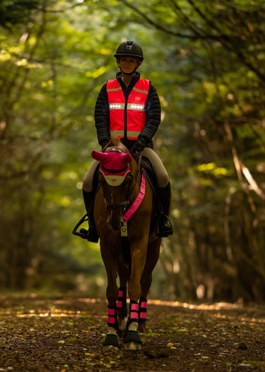 WoofWear LED Hi Vis Riding Vest Pink
