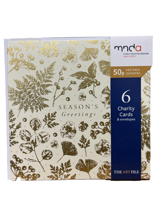 The Art File Seasons Greetings Pack-6 Charity Cards