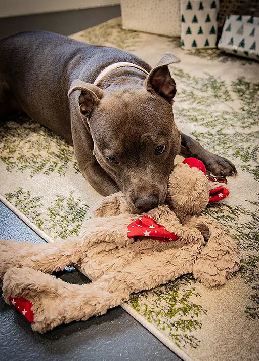 Rosewood Christmas Rita Reindeer Dog Toy