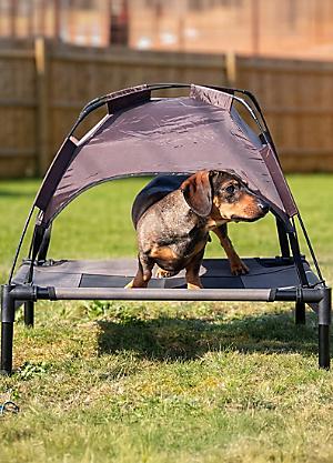 Sheltered Dog Bed