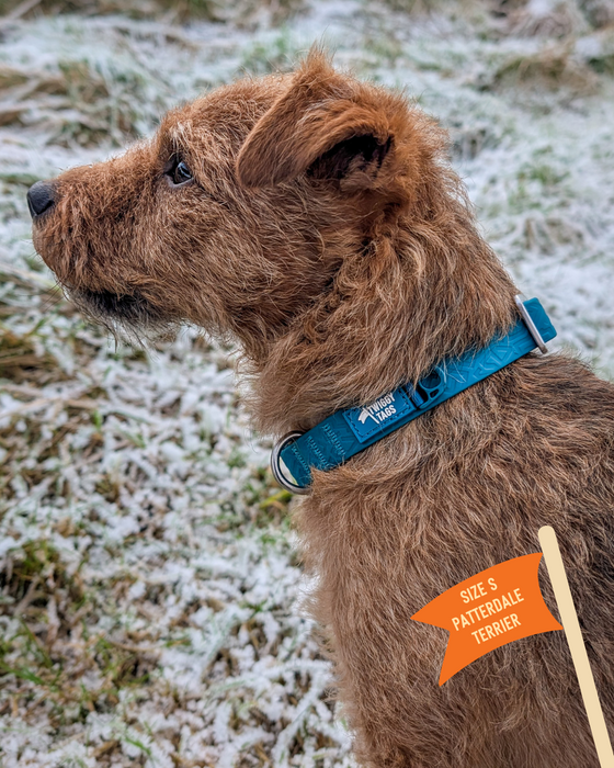 Twiggy Tags Tidal Waterproof Collar Azure