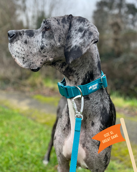Twiggy Tags Tidal Waterproof Collar Azure