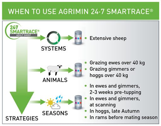 Agrimin Smartrace Sheep Boluses 50pk