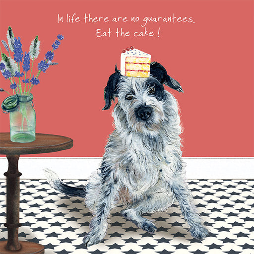 Little Dog Laughed German Pointer X Card