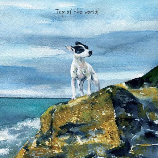 Little Dog Laughed Jack Russel Rescue Card