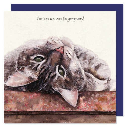 Little Dog Laughed Tabby Cat Card
