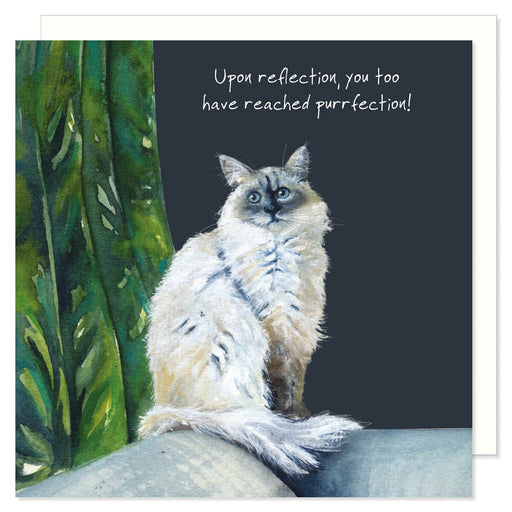 Little Dog Laughed Ragdoll Cat Card