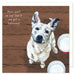 Little Dog Laughed Staffie Dog Card
