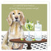 Little Dog Laughed Working Cocker Spaniel Dog Card
