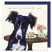 Little Dog Laughed Saluki Dog Card
