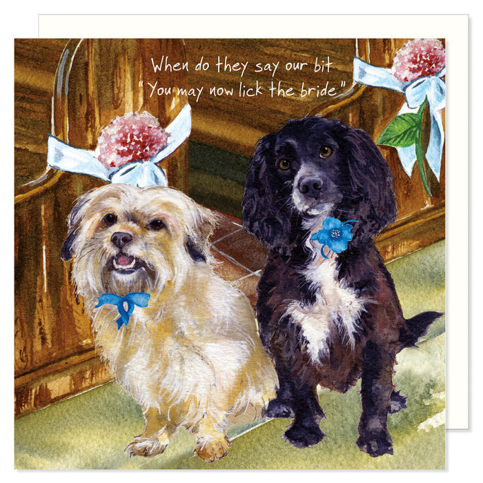 Little Dog Laughed Wedding Dogs Card
