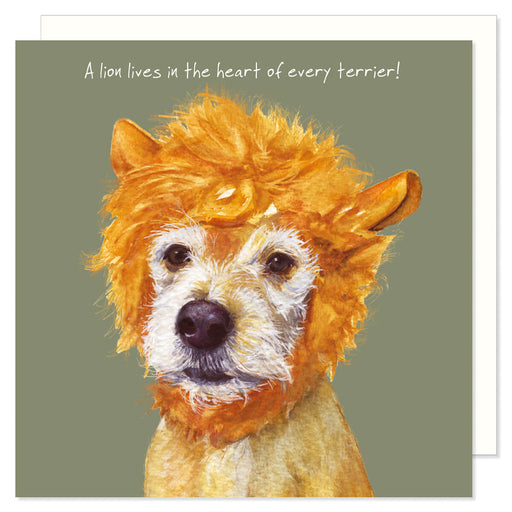 Little Dog Laughed Patterdale Greeting Card
