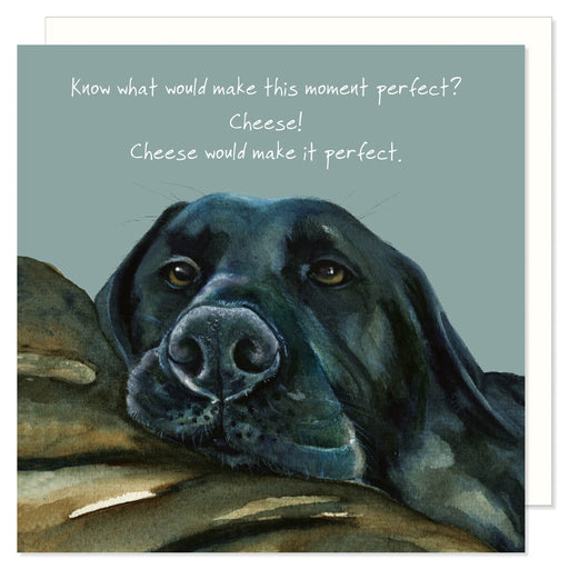 Little Dog Laughed Black Lab Greeting Card
