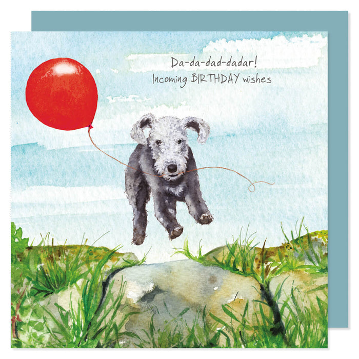 Little Dog Laughed Bedlington Birthday Card
