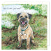 Little Dog Laughed Border Terrier Dog Card SQD66