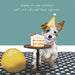 Little Dog Laughed Jack Russel Birthday Card