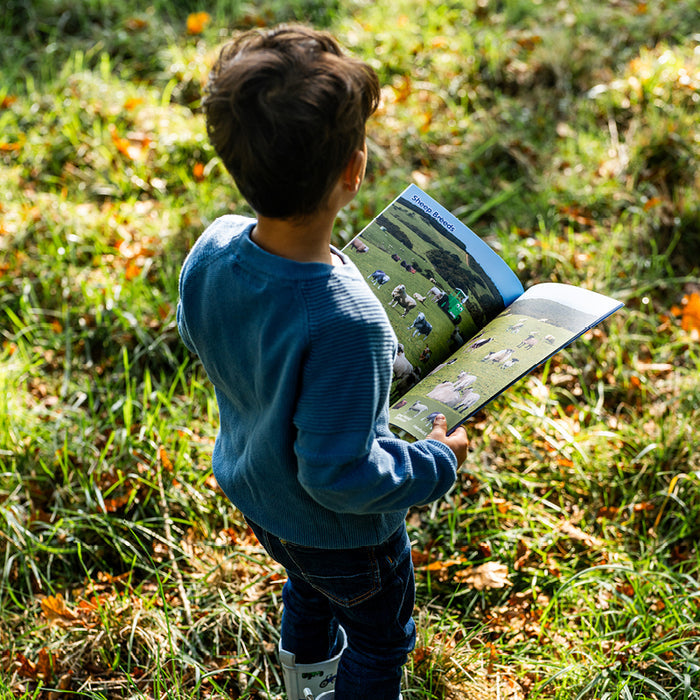Tractor Ted Look And Find Activity Book
