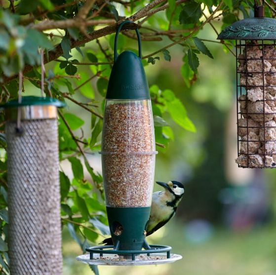 Peckish 3 Port Multi Seed Feeder