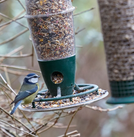 Peckish 3 Port Multi Seed Feeder