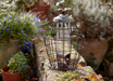 Secret Garden Squirrel Proof Seed Feeder